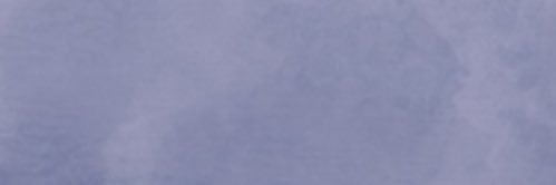 サザエ@取引垢 banner