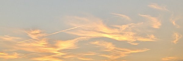 Mim03636 Profile Banner