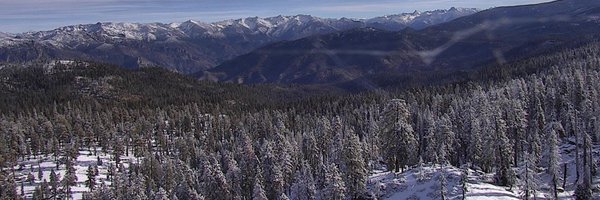 markgrossi Profile Banner