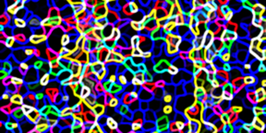 Scavie Scoobs banner