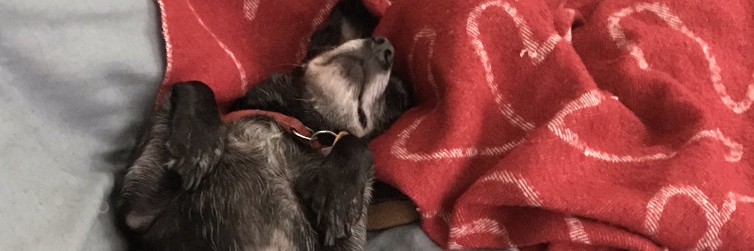 kiddo•cryptid•crone 👹♿️🏳️‍🌈 banner