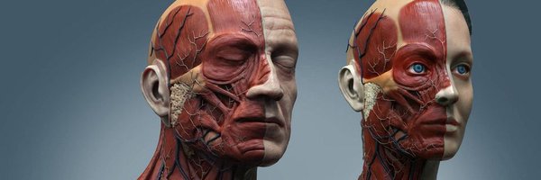 Smart1Doctor1 Profile Banner