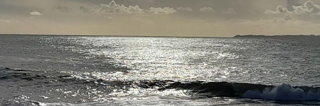 PascaleCiscares's profile banner image
