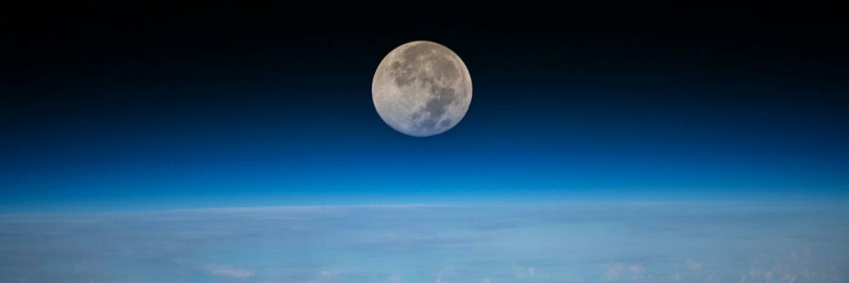 reedrussell's profile banner image