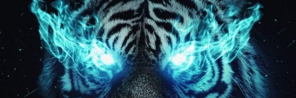 veectur's profile banner image