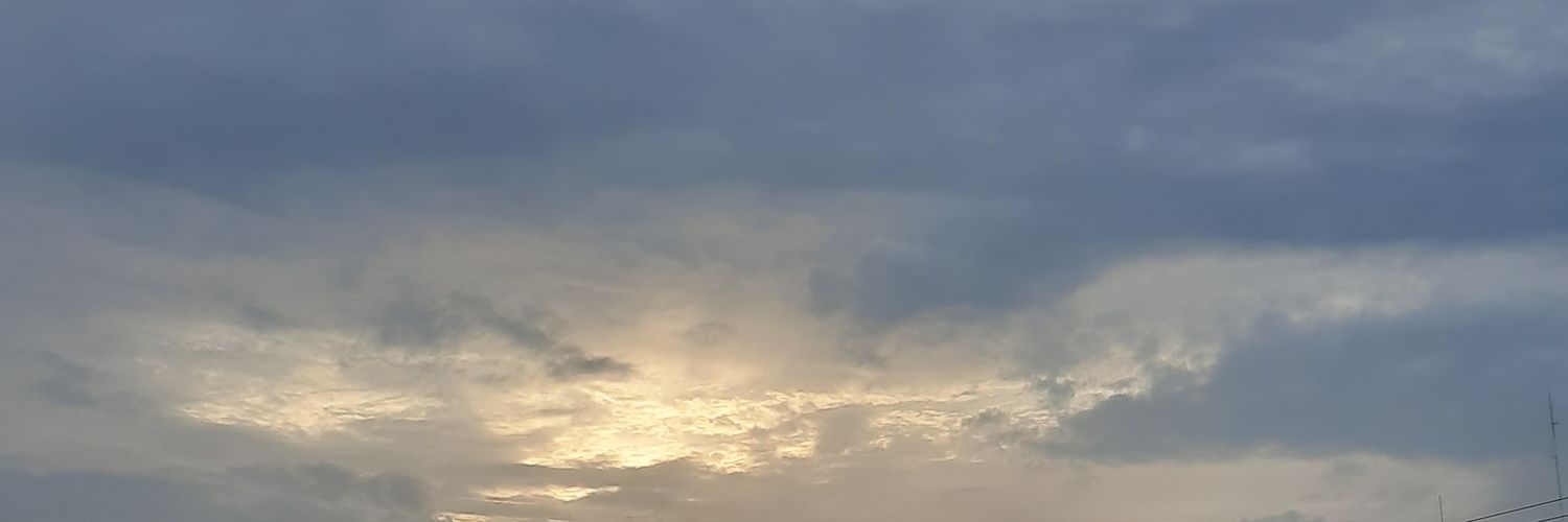 ren 🌺 banner