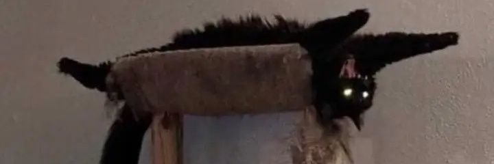 Masterchucklen's profile banner image