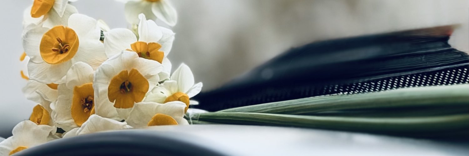 Zizi banner