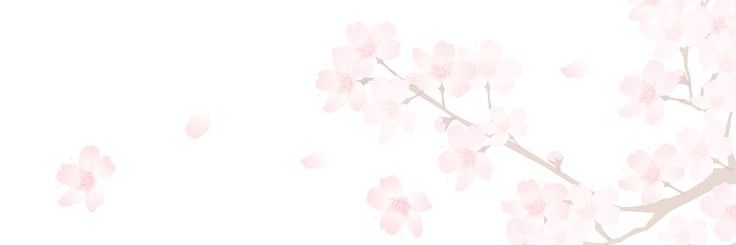 sanngsung's profile banner image