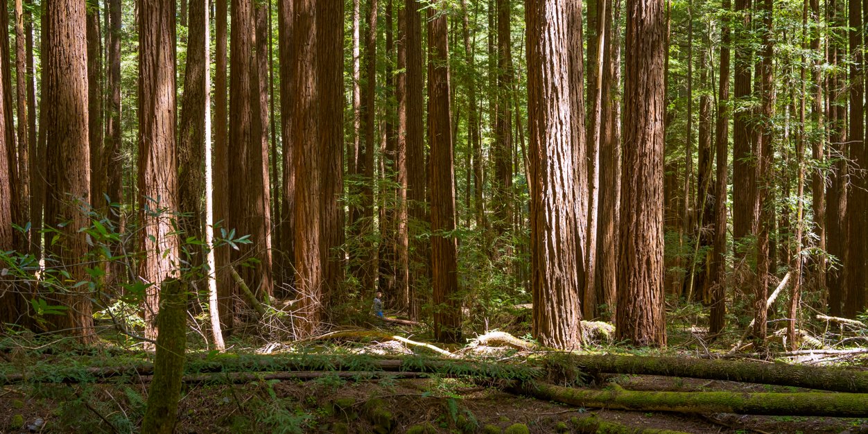 justinvoss's profile banner image