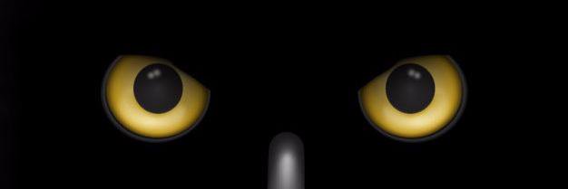 xtndr's profile banner image