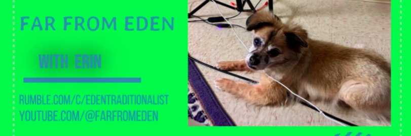 Da_Davis54's banner