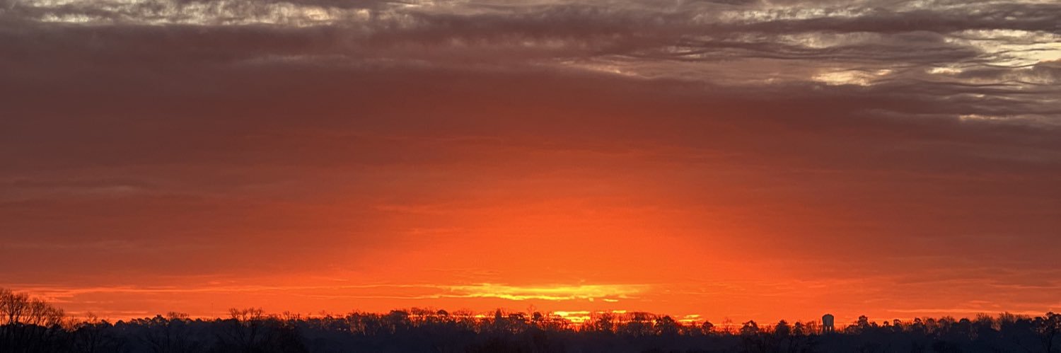 kooQlarue banner