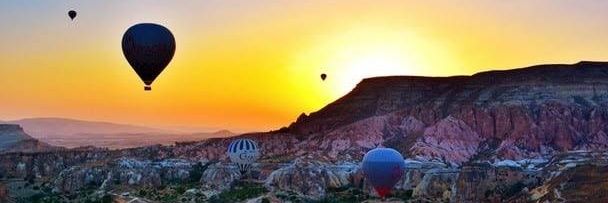 leopardo 🐆 banner