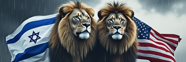 TomRowan777 Profile Banner