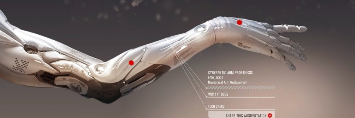 Arie Windmill banner