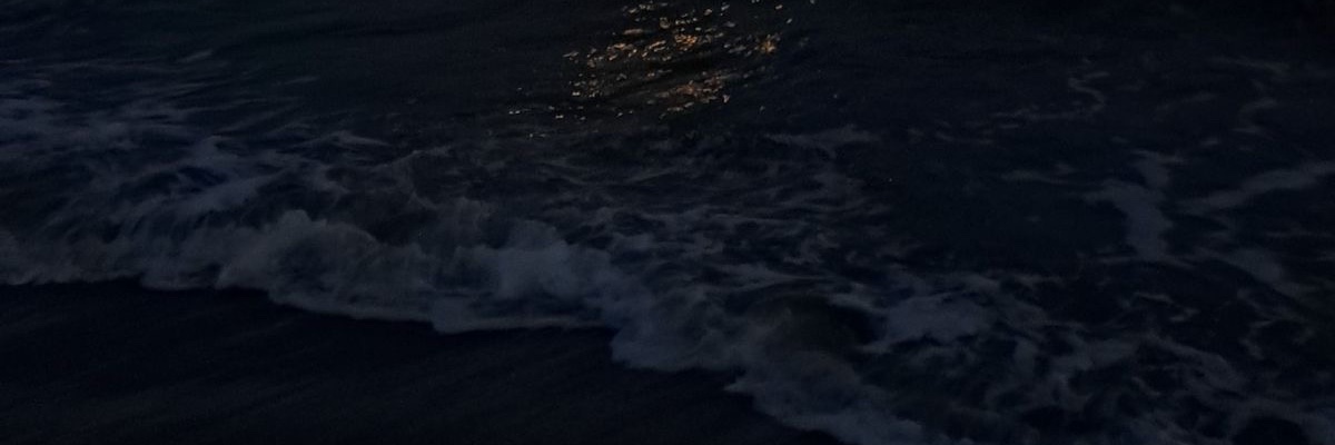 𝐄𝐥𝐥𝐞 banner