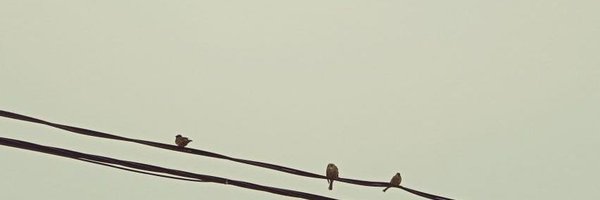 nanadia Profile Banner