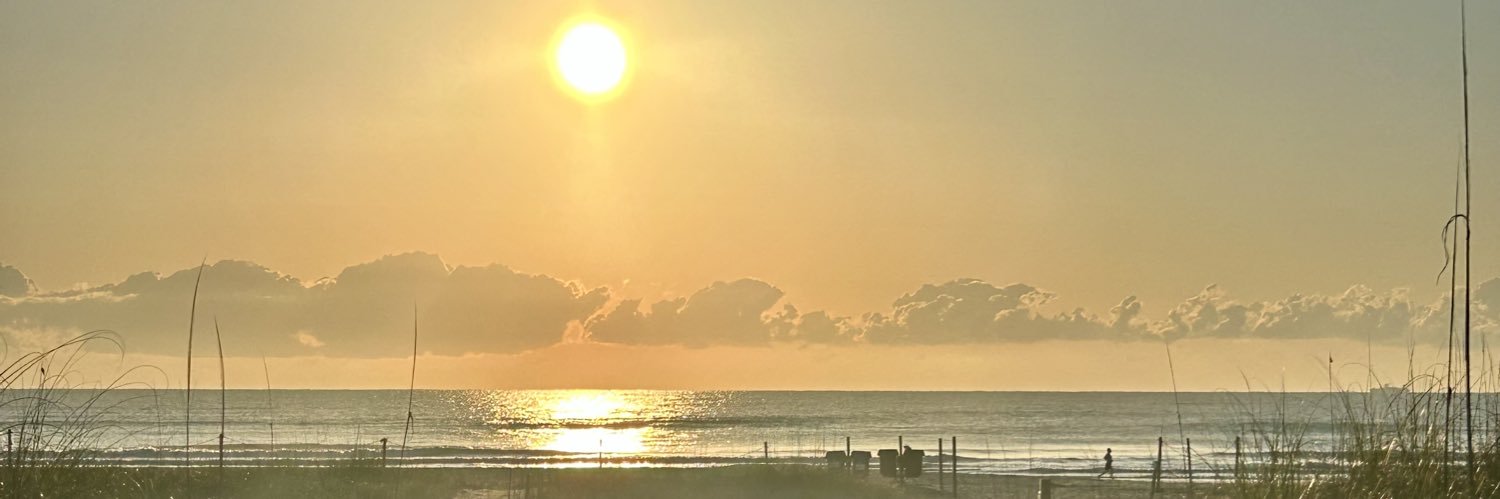 Kathleen 🇺🇸🇺🇸🇺🇸 AMERICA FIRST INDEPENDENT banner