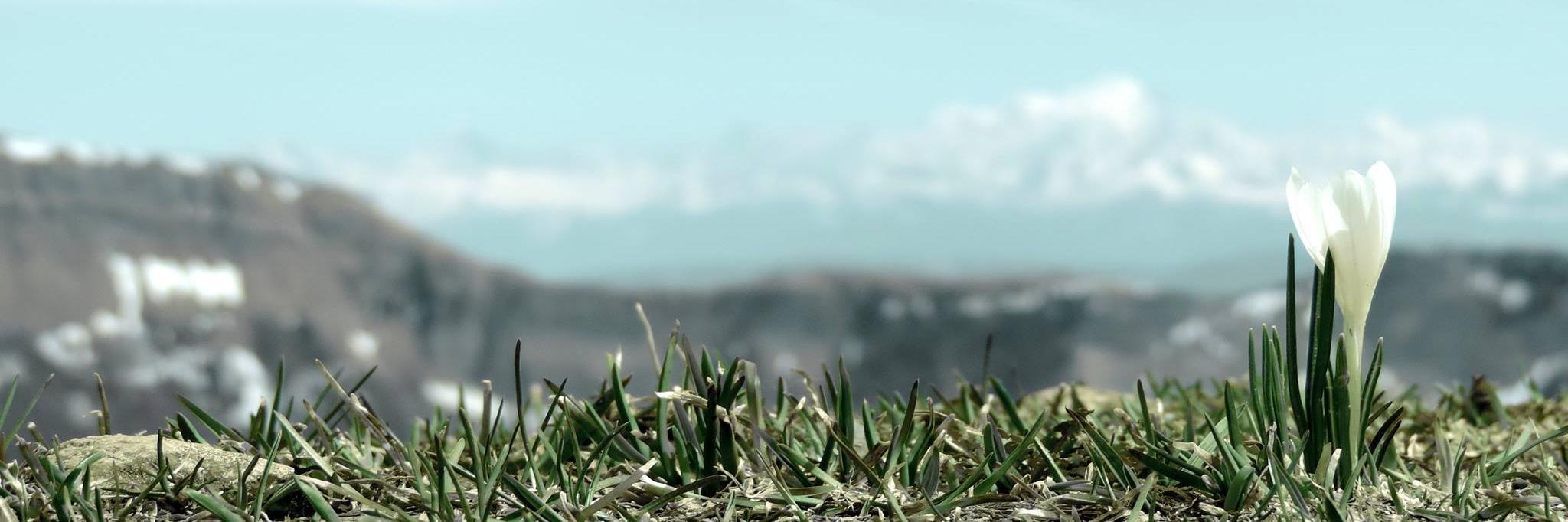Chasseurs74's profile banner image