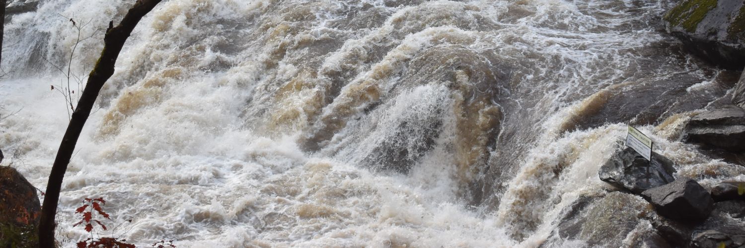 Orthodox ☦️ banner