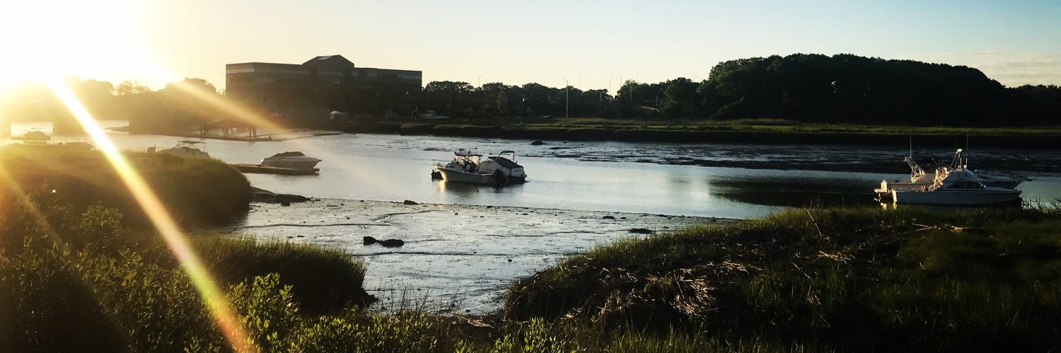 Stefanie O'Shea banner