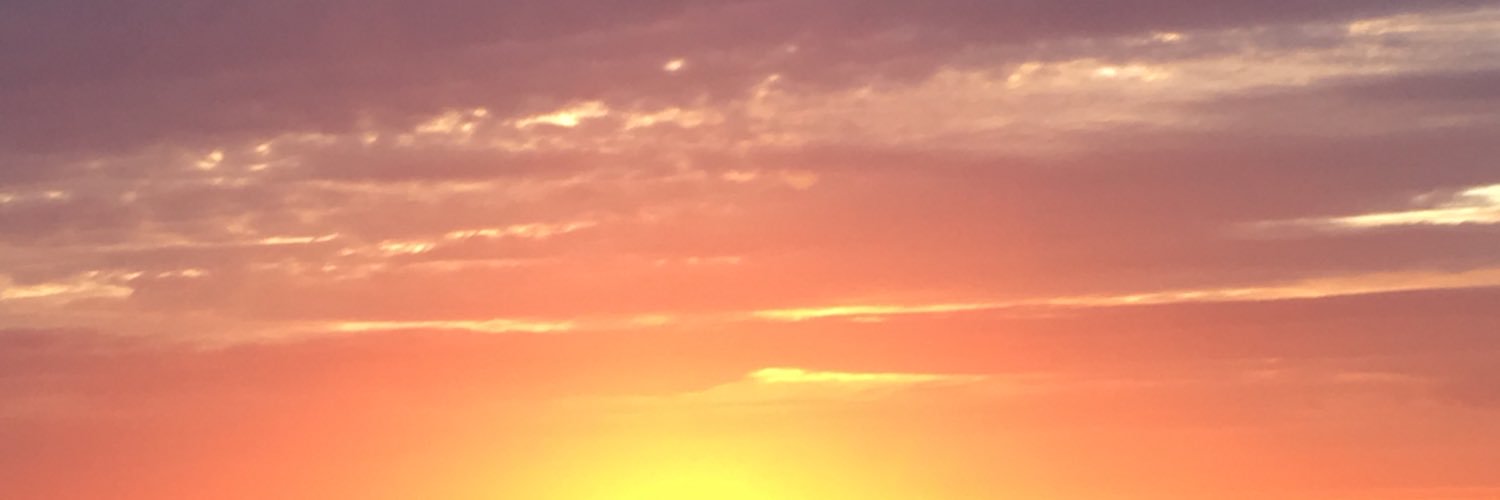 Merlynous's profile banner image