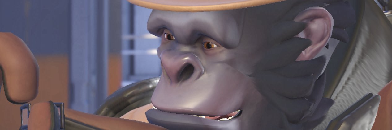 SirHP banner