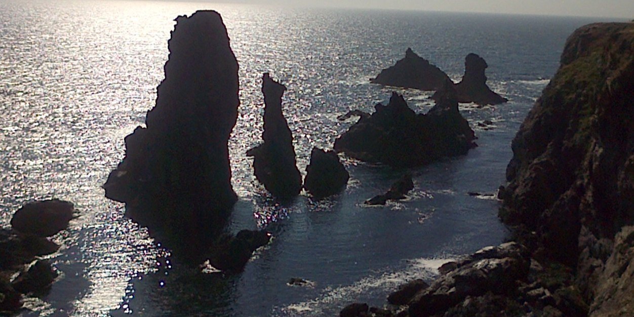 sylvie maligorne banner