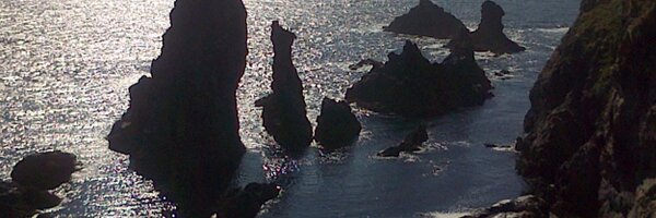 maligorne Profile Banner