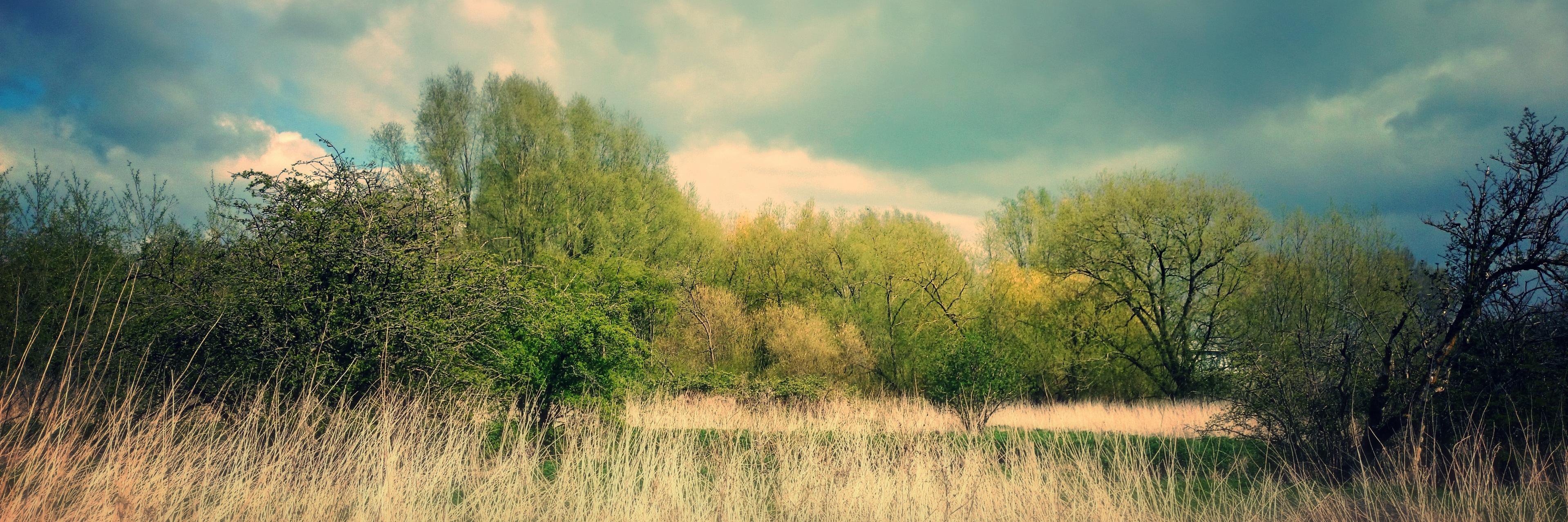 simonsone's profile banner image