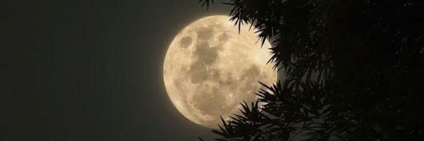 iamammar_32 Profile Banner