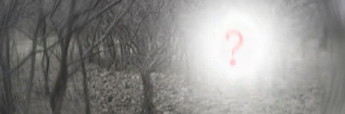 Gross Trans Dad banner