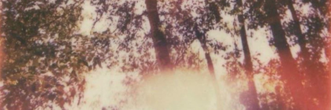 𝘣𝘣𝘰𝘬𝘢𝘳𝘪 𝜗𝜚's banner