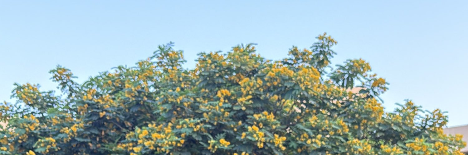 Viitamin & Protein banner