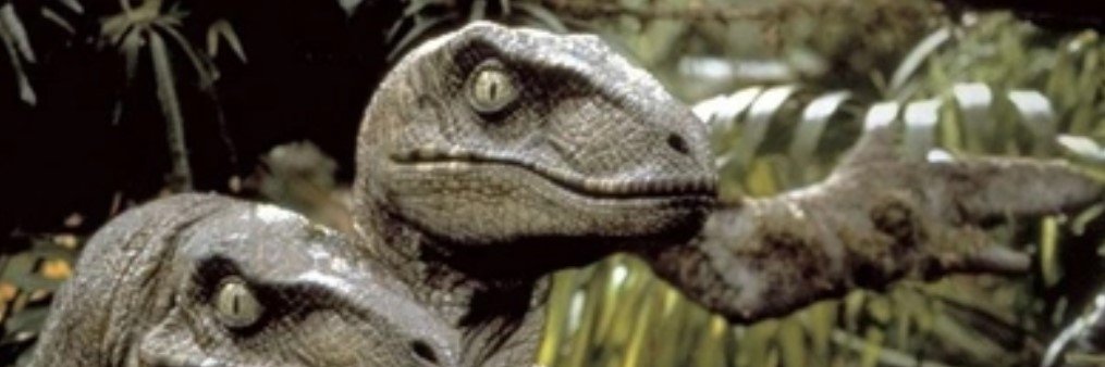 Iain Duncan Sheathing banner