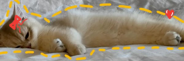 kittenstappn Profile Banner