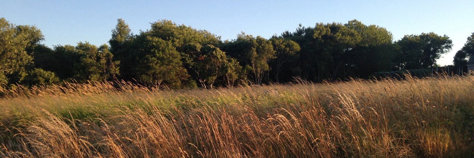 Golden Hour Minerals banner