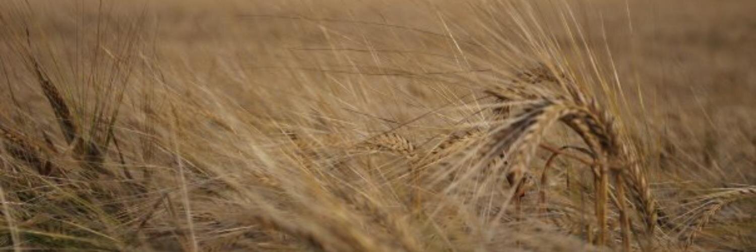 Jymdis's profile banner image