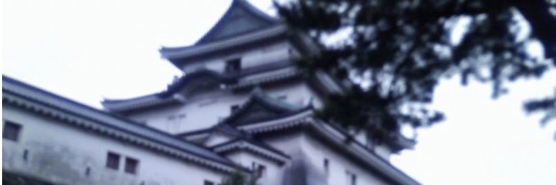 maya🐉いつもねむい banner