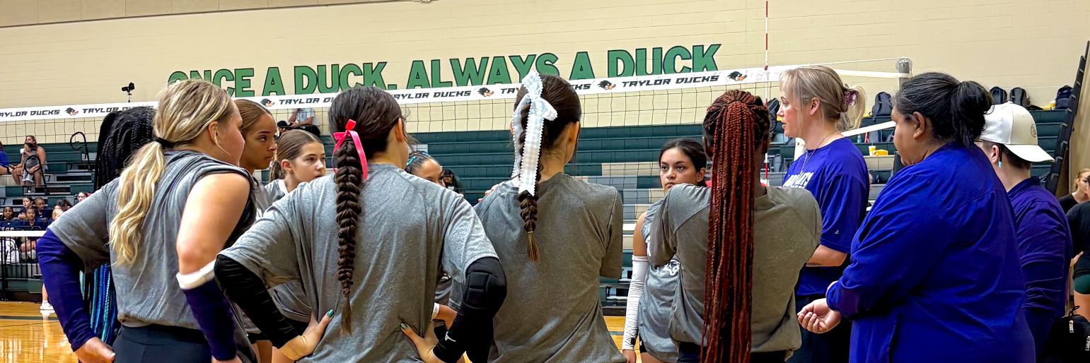 Elgin Ladycat Volleyball banner