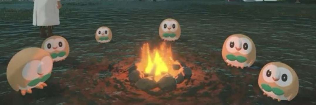 FCC_PetitShiny banner