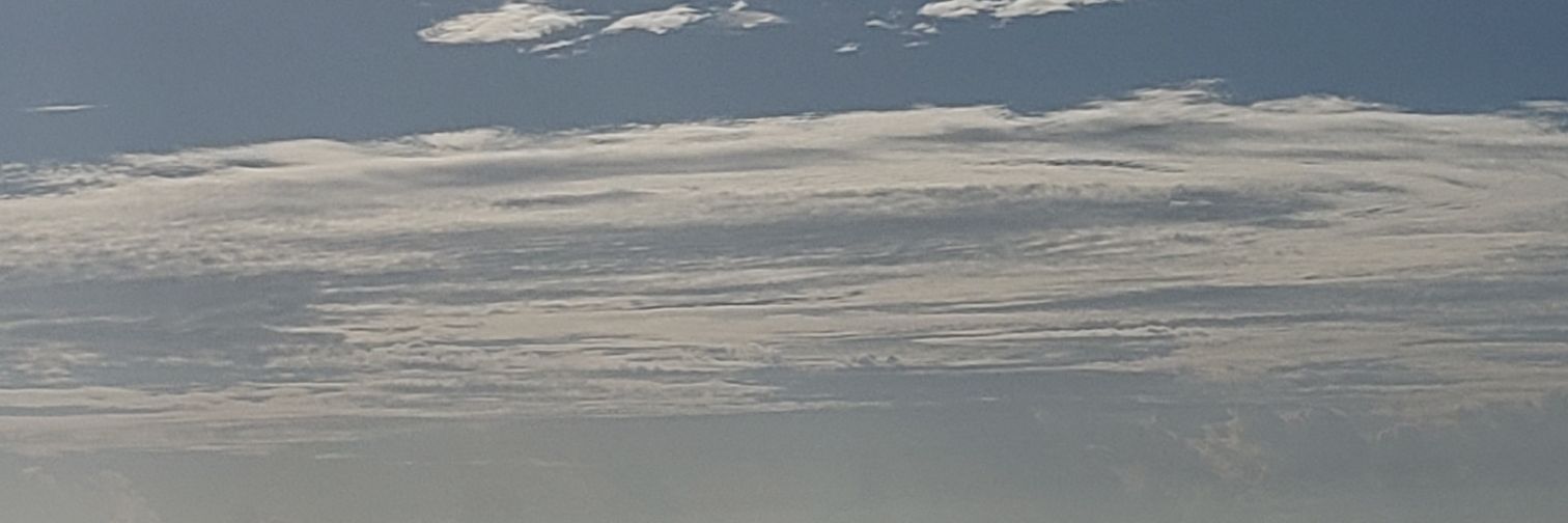 NeferTT's profile banner image