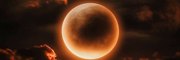 Successful Fome banner