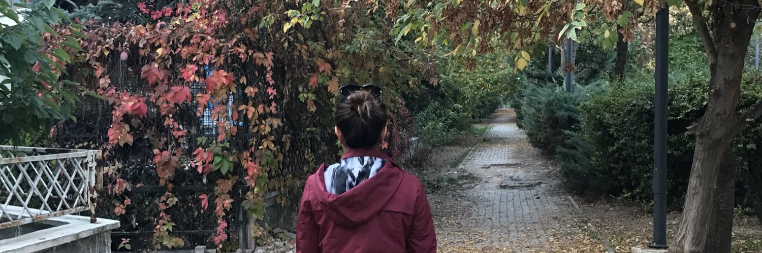 aysencomak's profile banner image