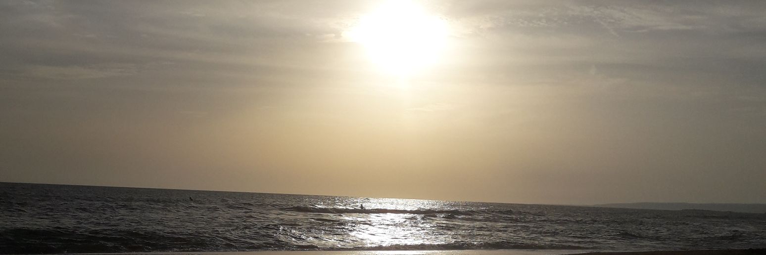 pandina82's profile banner image