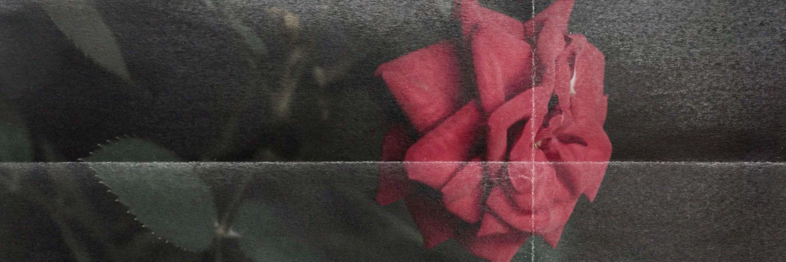 jondeux_rence's profile banner image