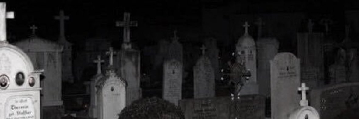 Tyler's banner