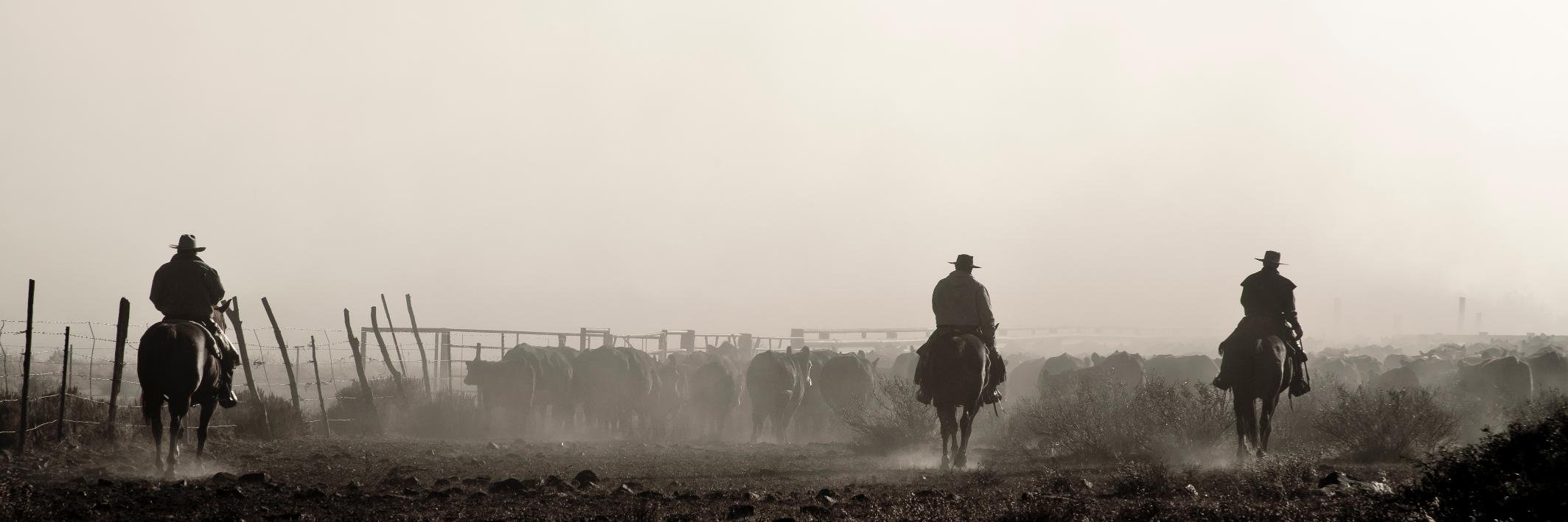 Ste. Rose Auction Mart banner