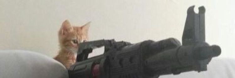 bitch breaker 𓆩♡𓆪 banner